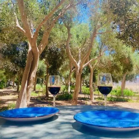 Olive Oasis Adults Only Гран-Тарахал