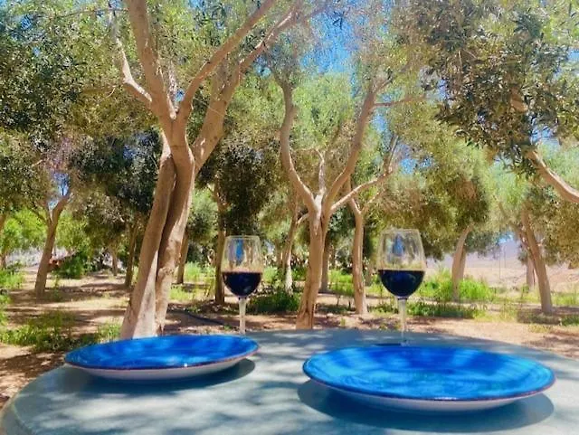 Olive Oasis Adults Only Gran Tarajal